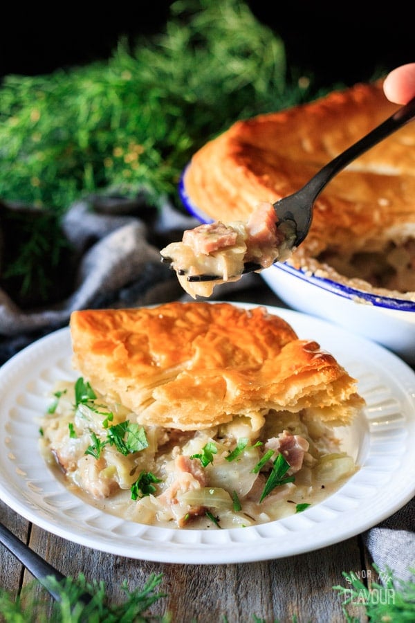 holding a forkful of ham and cabbage pie