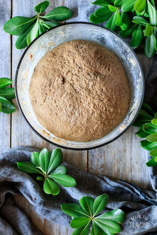 risen pumpernickel bread dough in a bowl