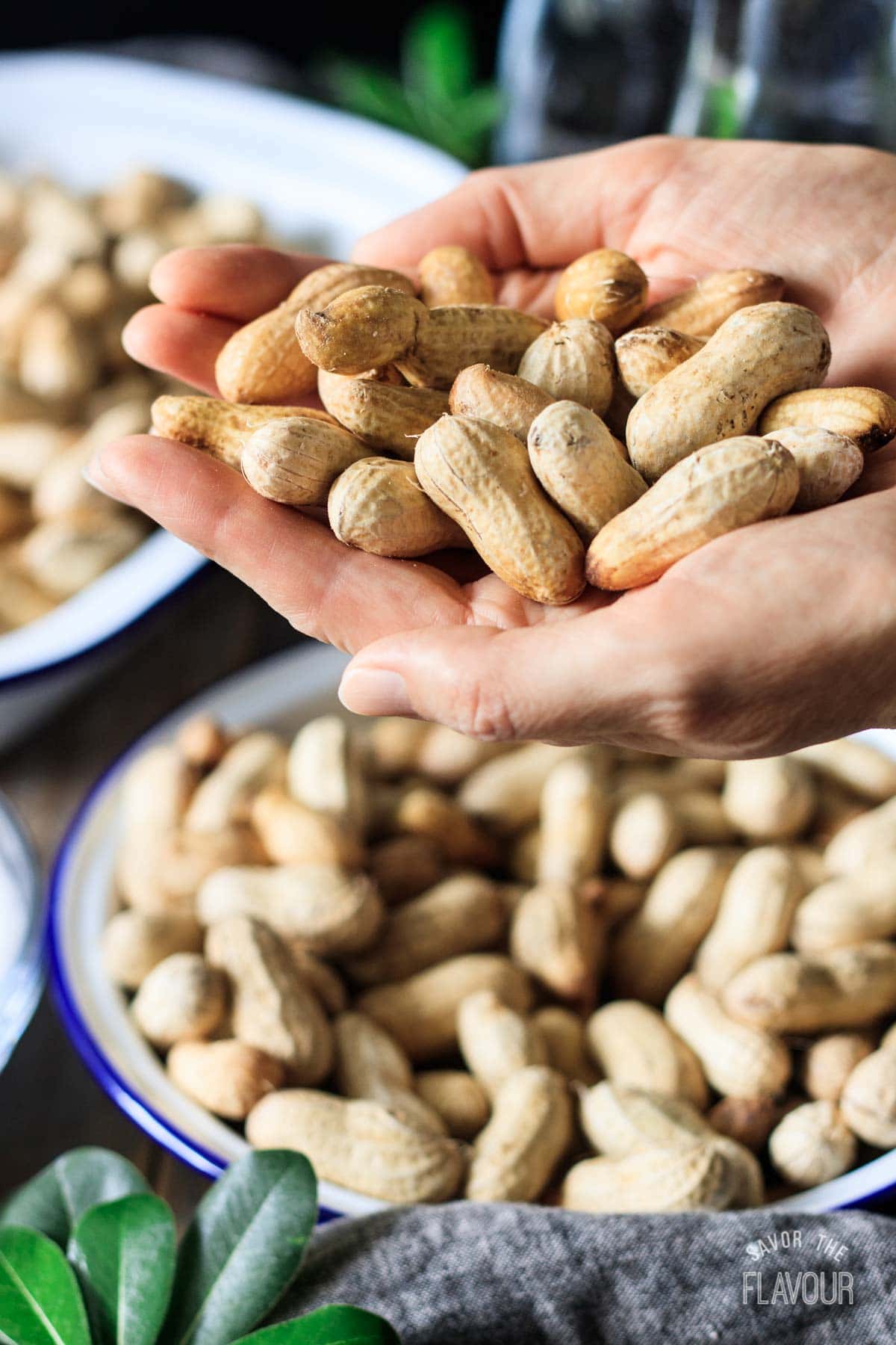how to prevent boiled peanuts from sticking in the shell 6 person holding a handful of green peanuts