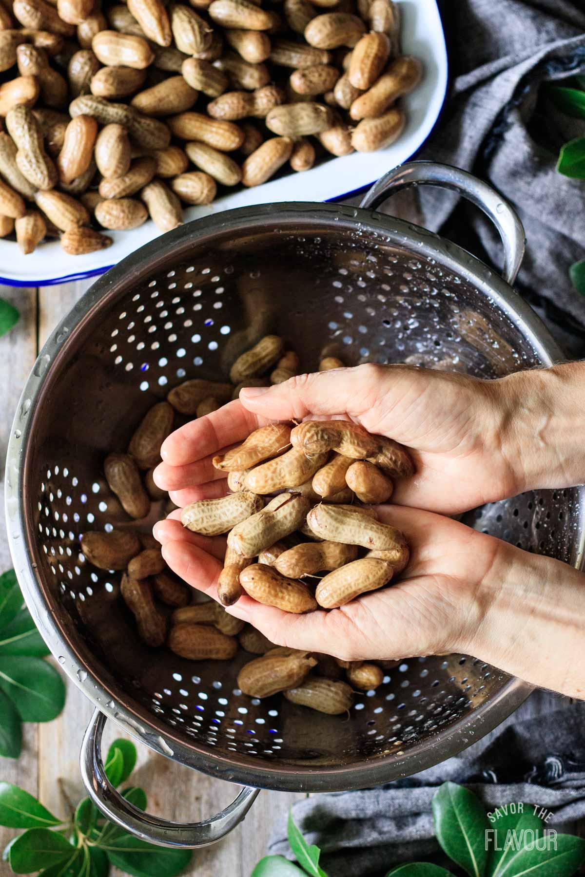 how to prevent boiled peanuts from sticking in the shell 11 person holding a handful of boiled peanuts above a colander
