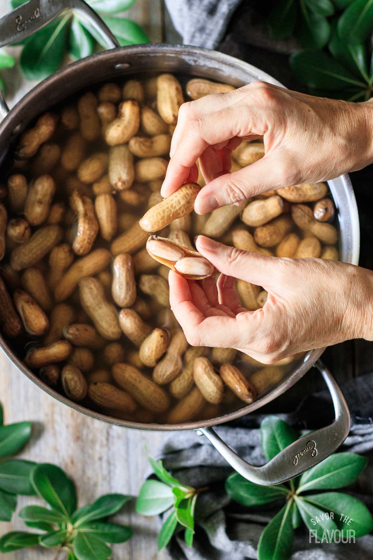 how to prevent boiled peanuts from sticking in the shell 16 person holding a cracked open peanut