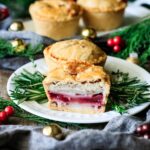 half of a turkey cranberry pie on a plate