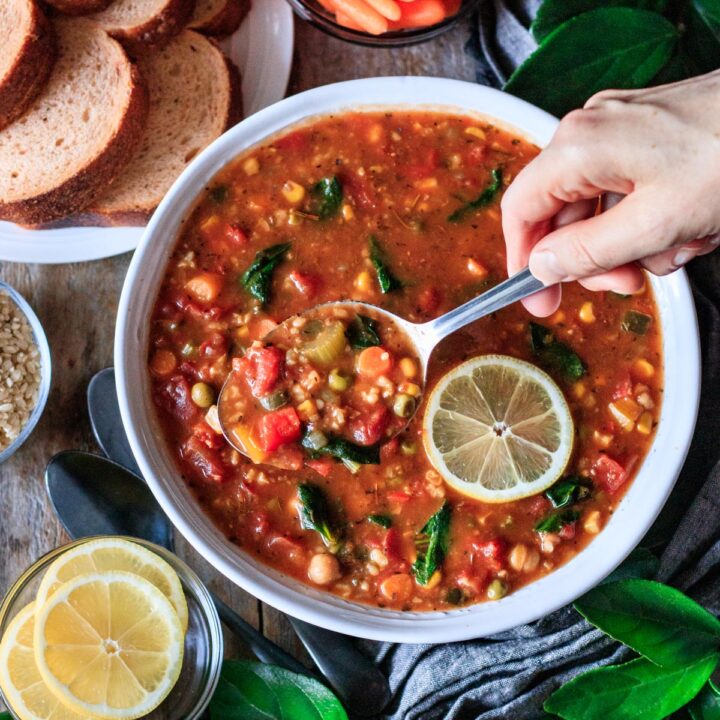 Panera Bread 10 Vegetable Soup Savor the Flavour