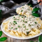 person holding a large spoonful of turkey stroganoff