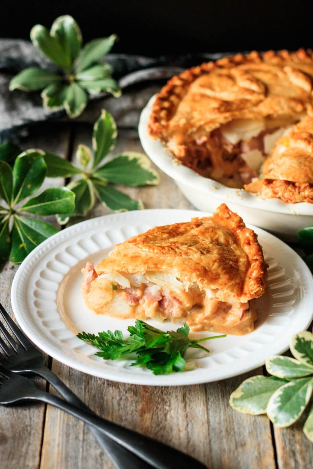 Cheese and Ham Pie Savor the Flavour