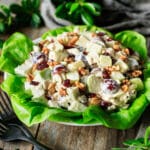 plate of turkey waldorf salad