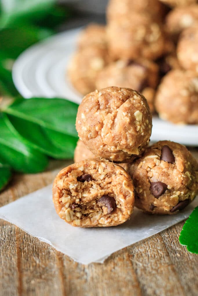Vegan Protein Balls Savor the Flavour