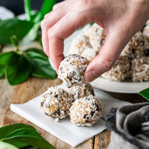 Coconut Protein Balls (No Bake) Savor the Flavour