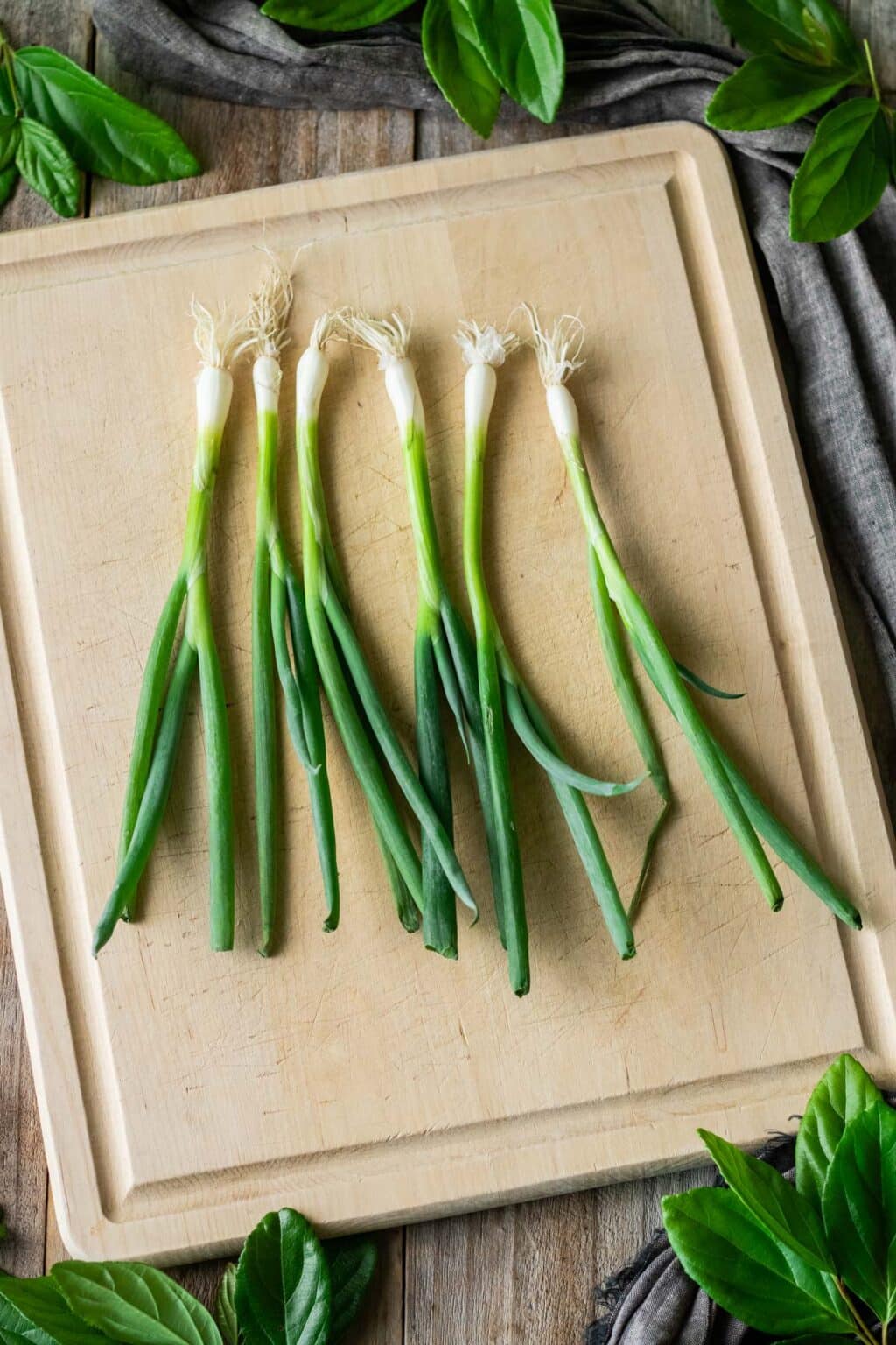 How to Cut Green Onions Savor the Flavour