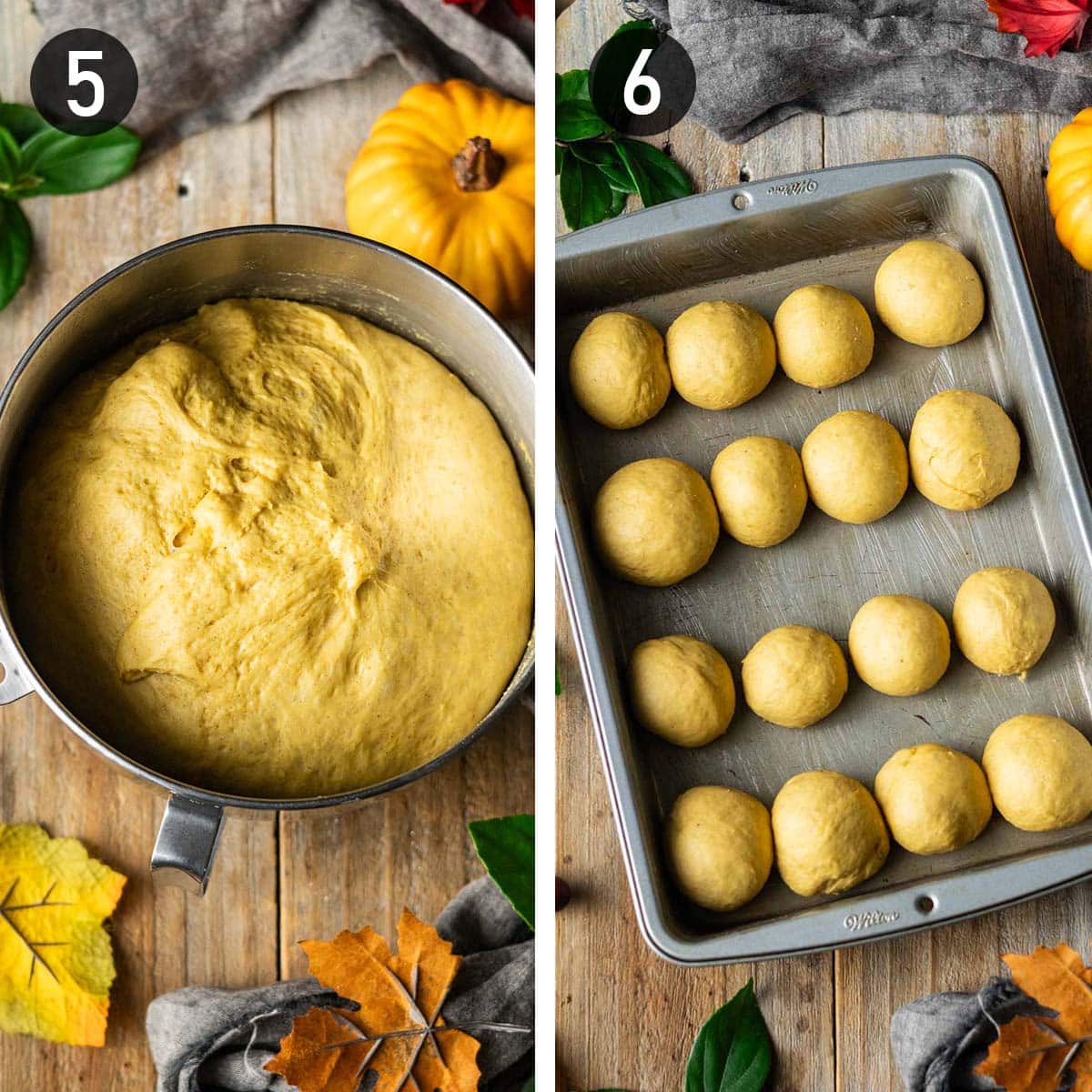 rising and shaping the dinner rolls.