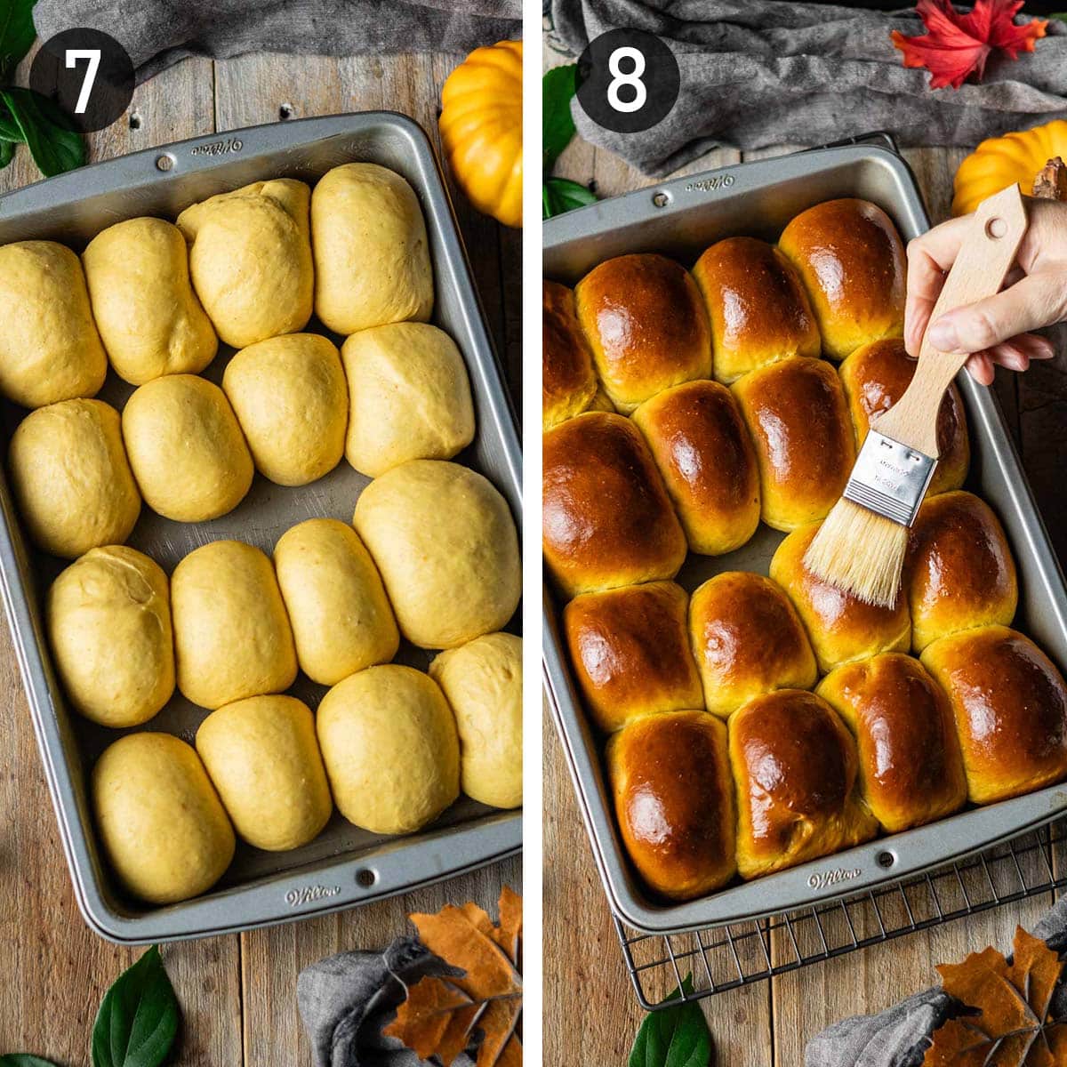 rising and baking the dinner rolls.